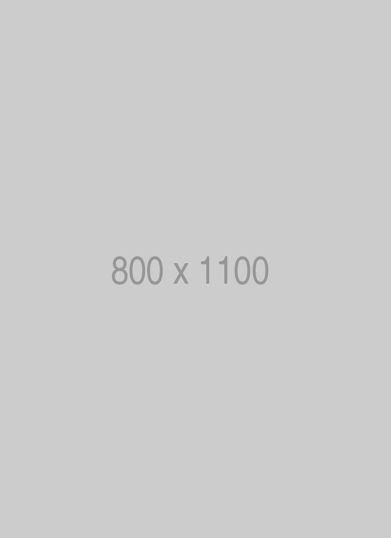 litho-800x1100-ph.jpg